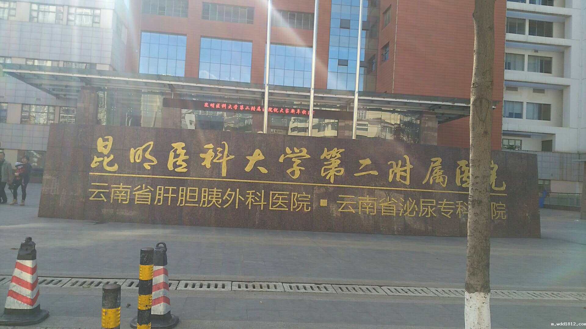 昆明医科大学第二附属医院采购微量元素检测仪