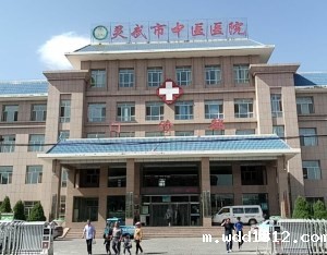 微量元素检测仪采购单位灵武市中医医院