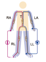BE-1B实用型人体成分分析仪