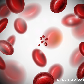 血细胞中的红细胞
