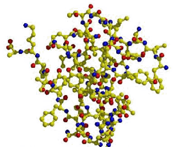 胰岛素在高血压病发病中的作用