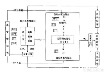 国康血液分析仪分析血小板与止血和凝血