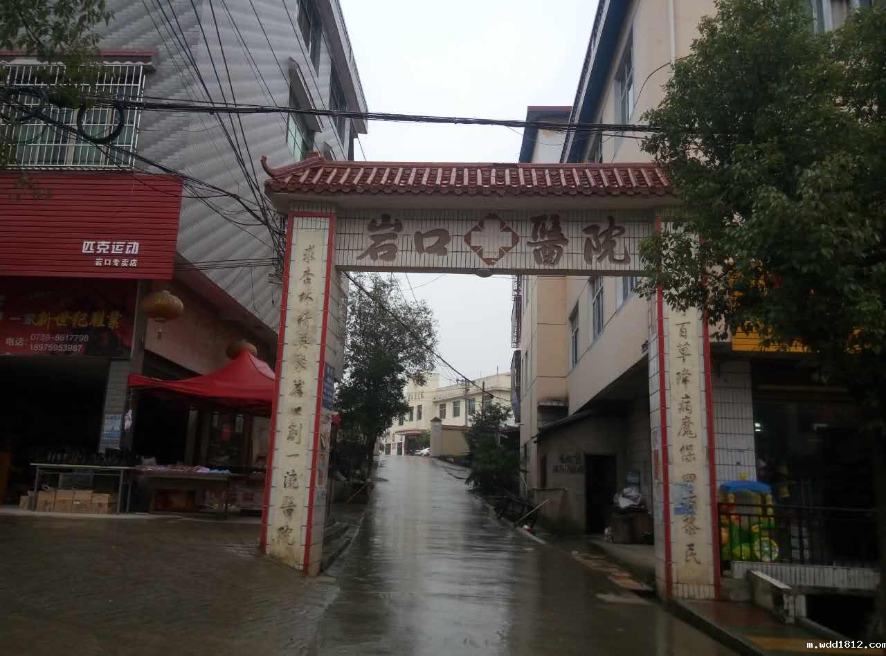 岩口医院采购微量元素检测仪一台