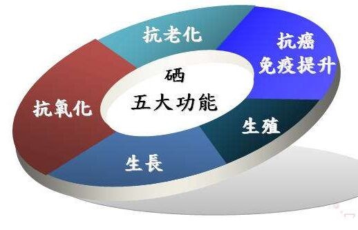 hth华体会app官网登录谈硒对老年白内障的影响