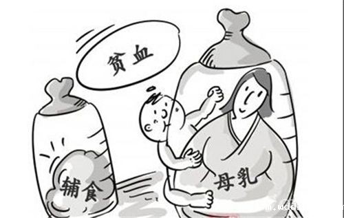  全自动微量元素检测仪厂家谈微量元素对贫血的作用