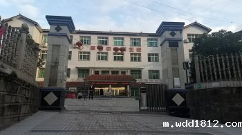 草坝中心卫生院采购微量元素检测仪