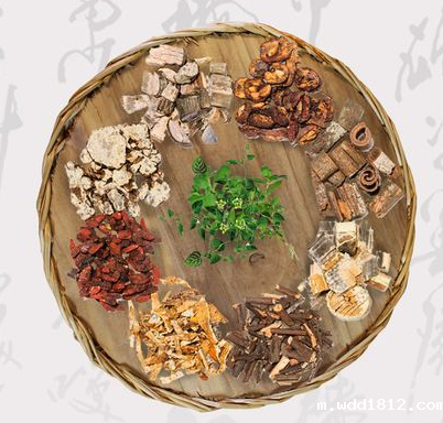 国康中医体质辨识仪器厂家