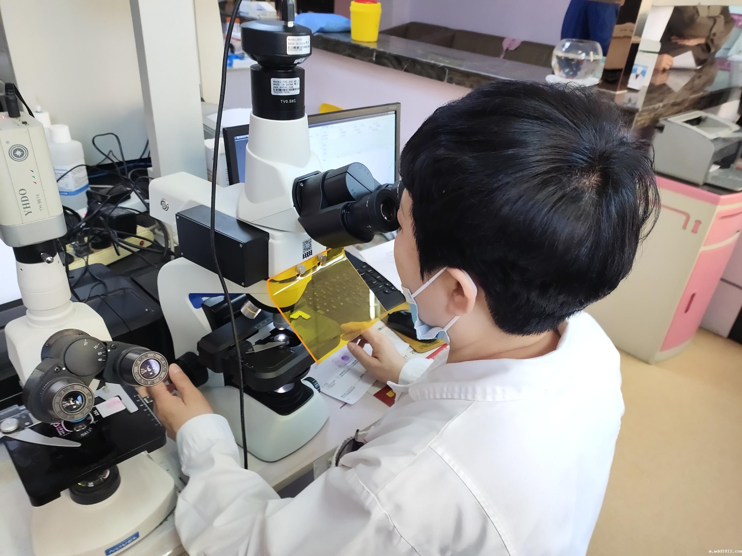 阴道分泌物分析仪 阴道分泌物分析仪