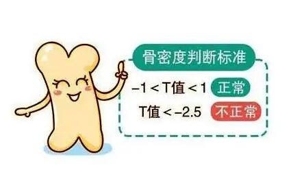 超声骨密度测量仪 超声骨密度测量仪