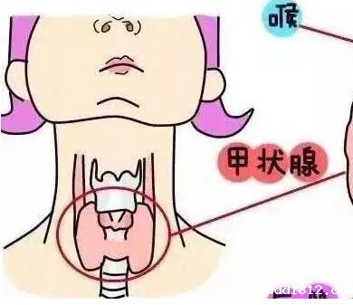 人体hth华体会app官网登录提示甲状腺结节与微量元素硒间的微妙关系 人体hth华体会app官网登录提示甲状腺结节与微量元素硒间的微妙关系