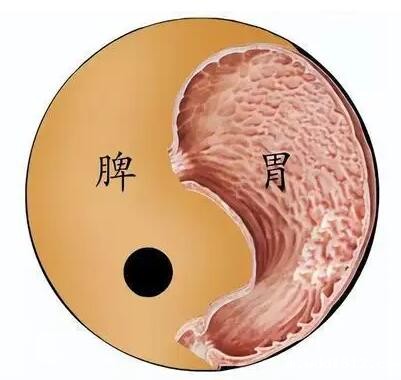 便携式中医体质辨识仪器厂家提醒:别误会“胃喜为补” 便携式中医体质辨识仪器厂家提醒:别误会“胃喜为补”