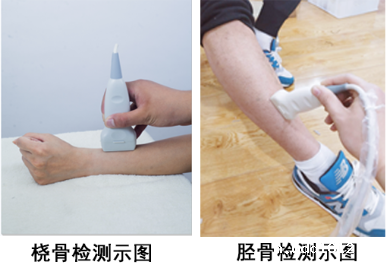 华体会pg电子 华体会pg电子