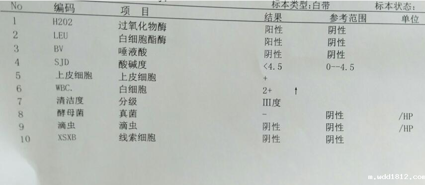 【今日科学】全自动白带常规检测仪厂家对白带杂菌2十有什么意思?