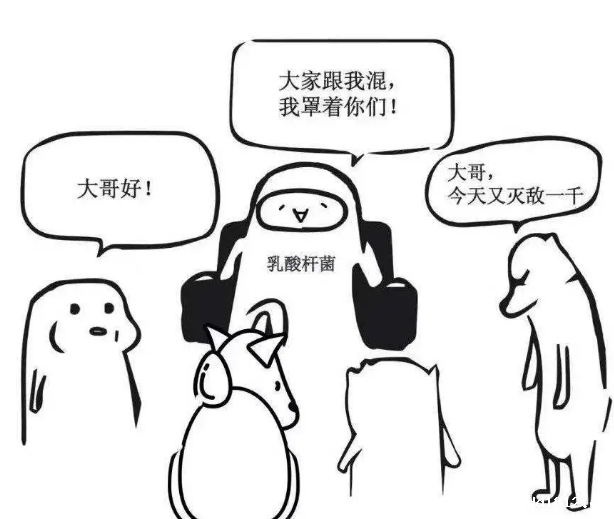 【全自动白带常规分析仪】厂家揭示阴道不是绝对“干净”的，重在自律!