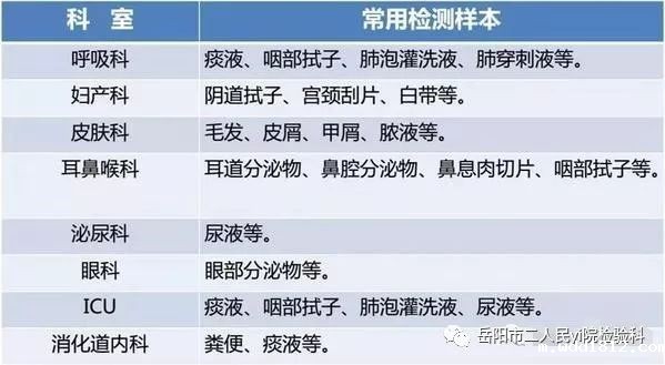 真菌荧光染色液